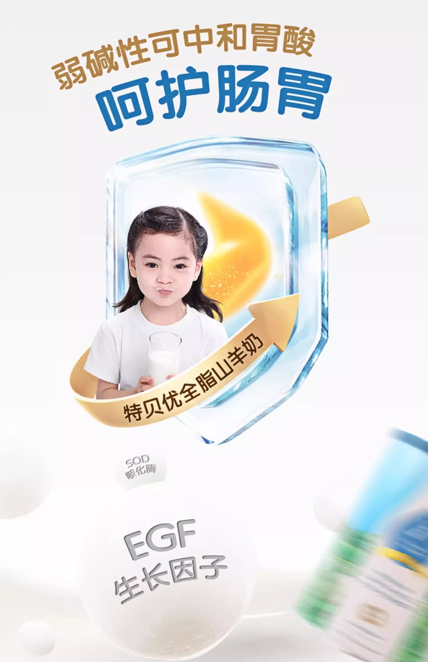 Taupo Goat详情-1 (21).jpg